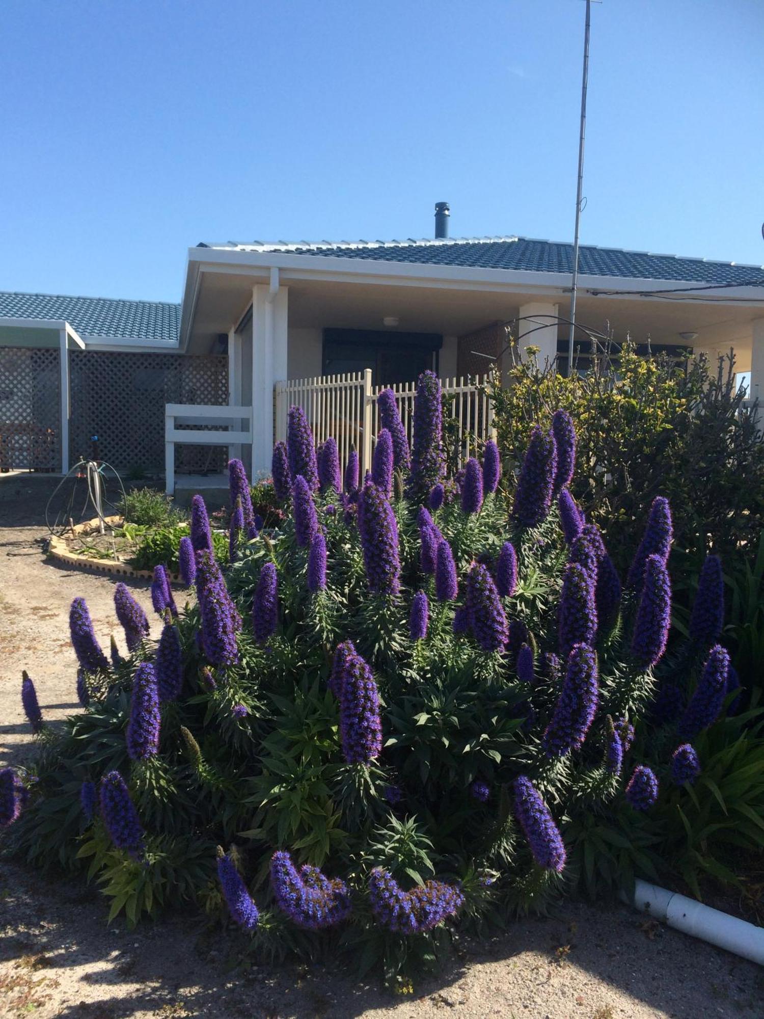 Salty Air Apartments Kingscote Kangaroo Island Buitenkant foto